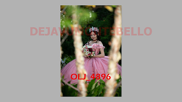 prrepics pink-110
