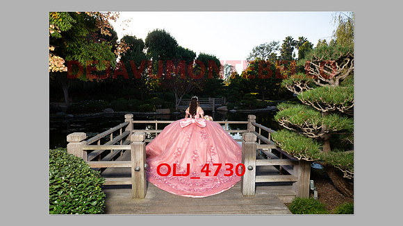 prrepics pink-002