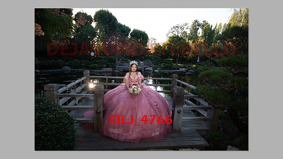 prrepics pink-020