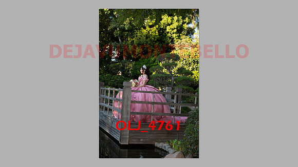 prrepics pink-016