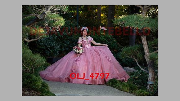 prrepics pink-041