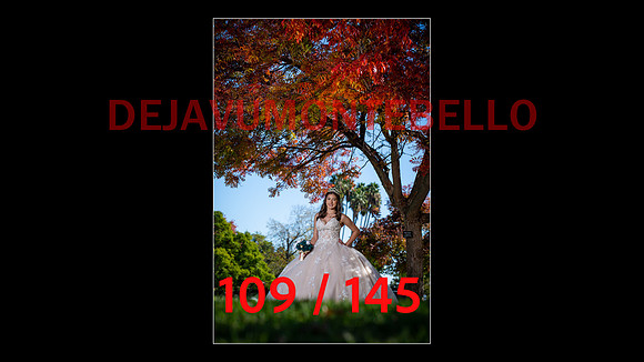 SLIDE XV-109