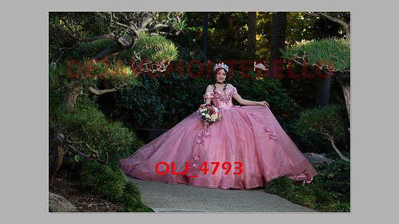 prrepics pink-037