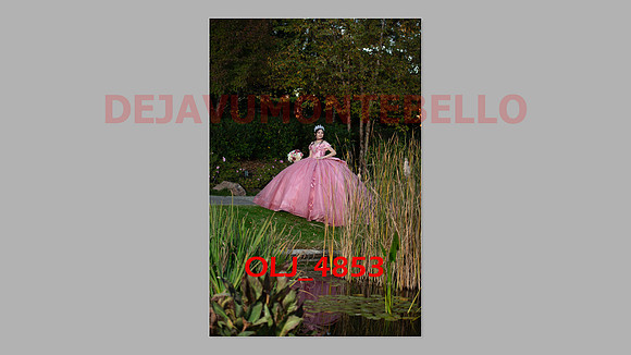 prrepics pink-074