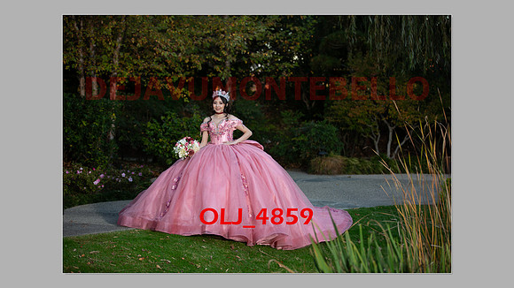 prrepics pink-079