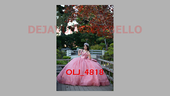 prrepics pink-056
