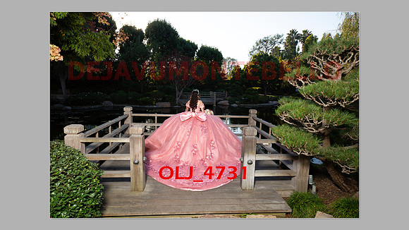 prrepics pink-003