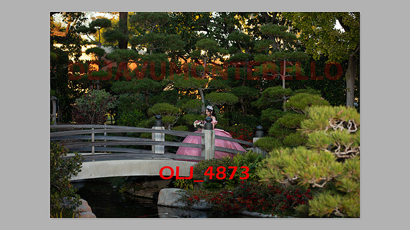 prrepics pink-091