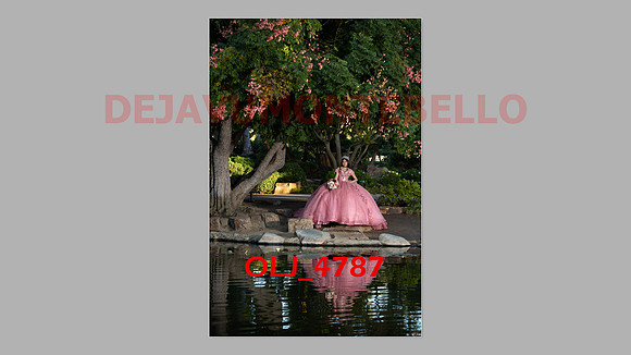 prrepics pink-035