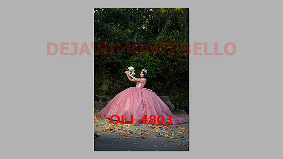 prrepics pink-046