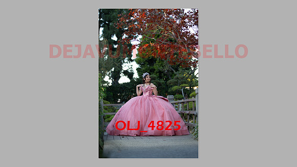 prrepics pink-061