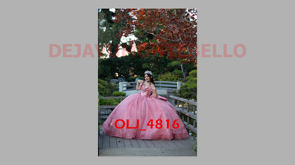 prrepics pink-054