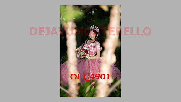 prrepics pink-112