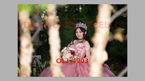 prrepics pink-114