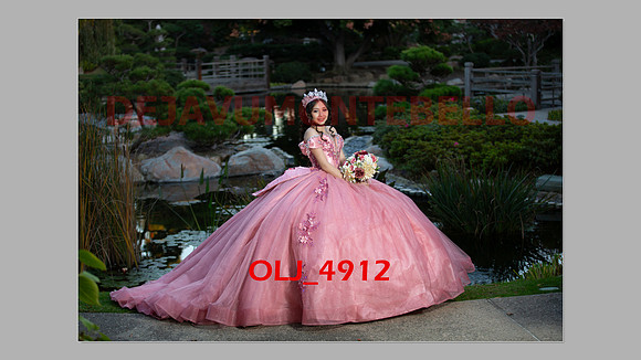 prrepics pink-120