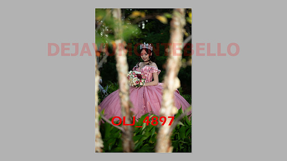prrepics pink-111