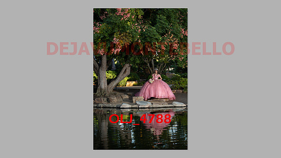 prrepics pink-036
