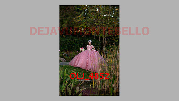 prrepics pink-073