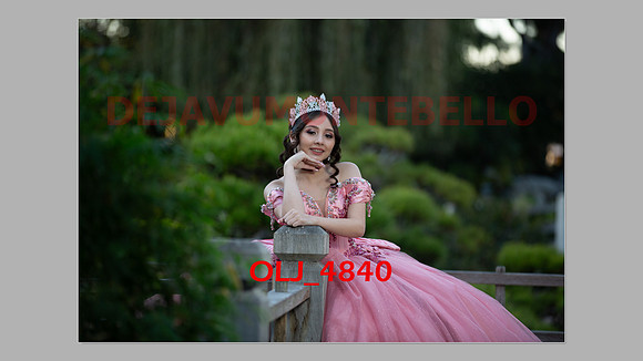 prrepics pink-070