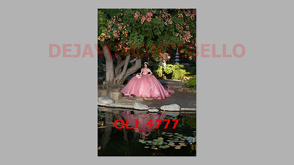 prrepics pink-027