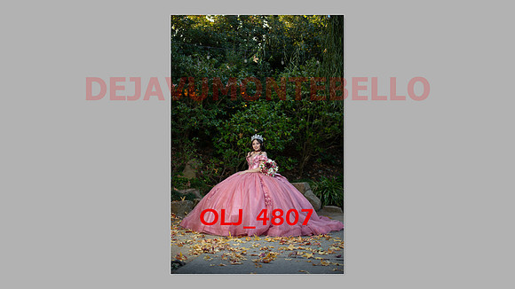 prrepics pink-050