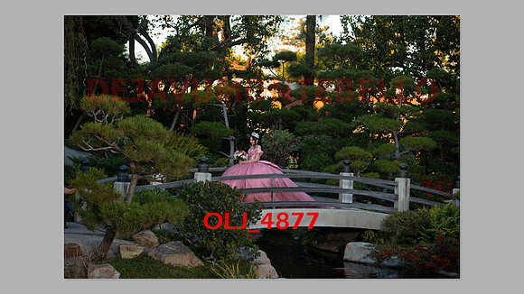 prrepics pink-095