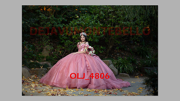 prrepics pink-049