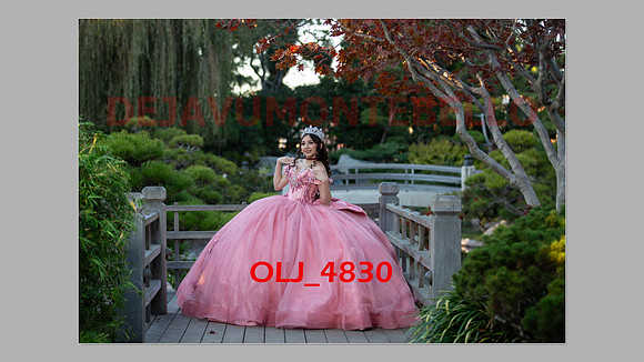 prrepics pink-064