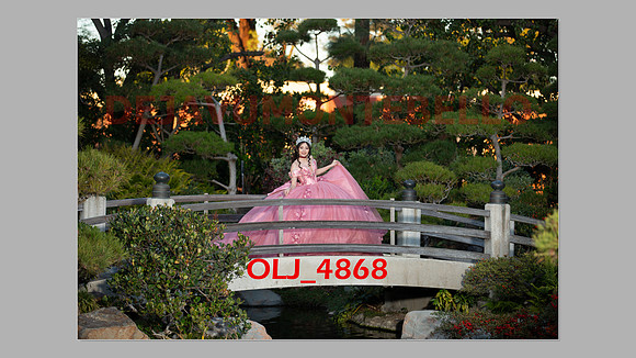 prrepics pink-086