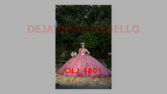 prrepics pink-044