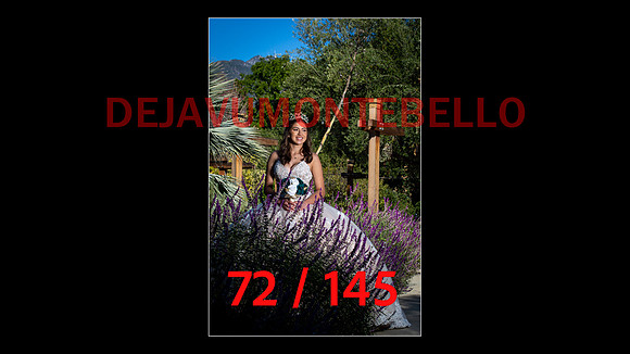 SLIDE XV-072
