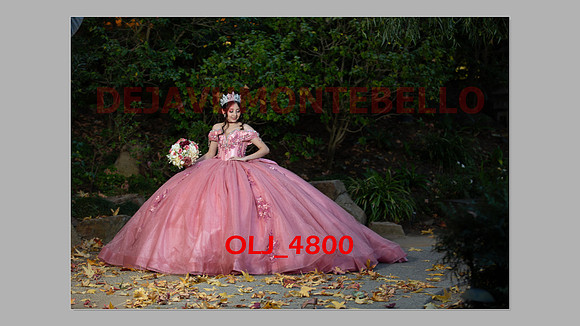 prrepics pink-043