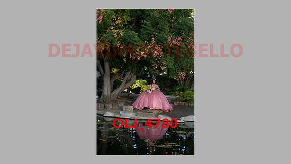 prrepics pink-030