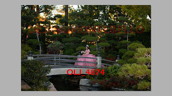 prrepics pink-092