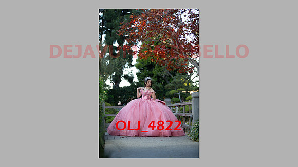 prrepics pink-059