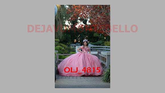 prrepics pink-053