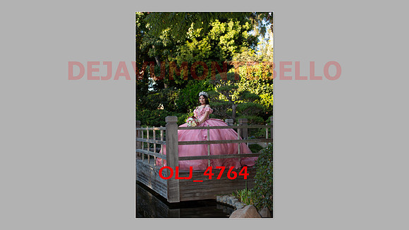 prrepics pink-019