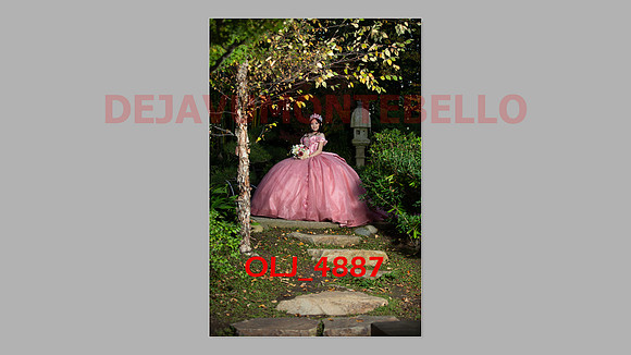 prrepics pink-105