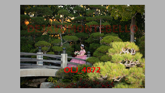 prrepics pink-090